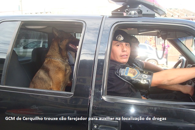 cerquilho