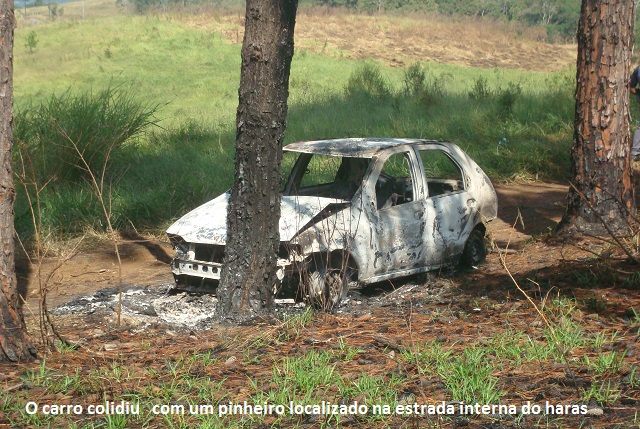 mais foto