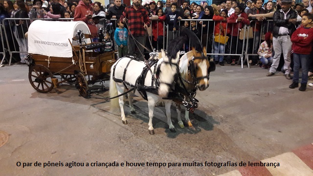 poneis