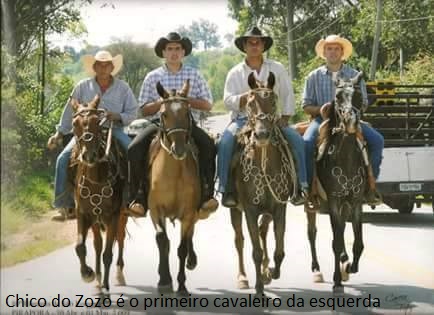 chico do zozó