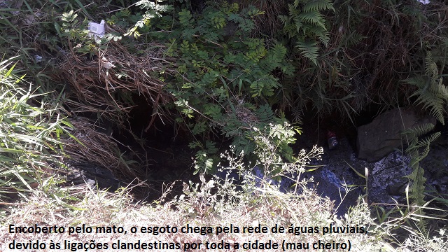 mau cheiro