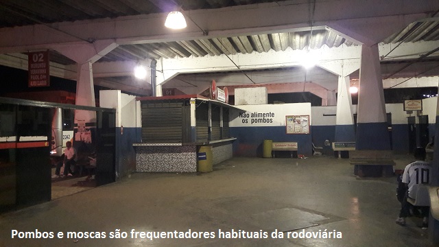rodoviaria-7