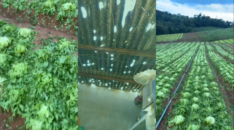 DEPOIS DO GRANIZO – “O QUE VAI SER DE NÓIS, AGORA?”