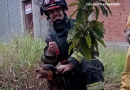 IBIÚNA – CORPO DE BOMBEIROS RESGATA CÃO PRESO EM POÇO NO MORRO GRANDE