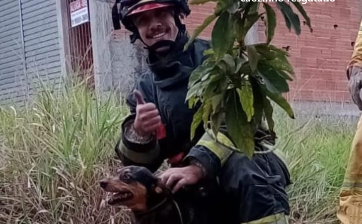 IBIÚNA – CORPO DE BOMBEIROS RESGATA CÃO PRESO EM POÇO NO MORRO GRANDE