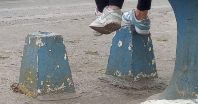 IBIÚNA – DESMAZELO MARCA A PRAÇA MAIS BONITA DA CIDADE